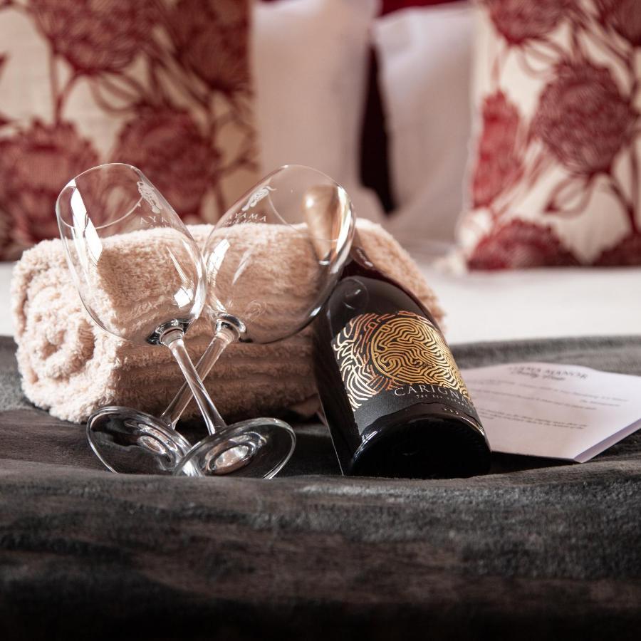 Ayama Wine Farm - Manor House Bed & Breakfast เวลลิงตัน ภายนอก รูปภาพ